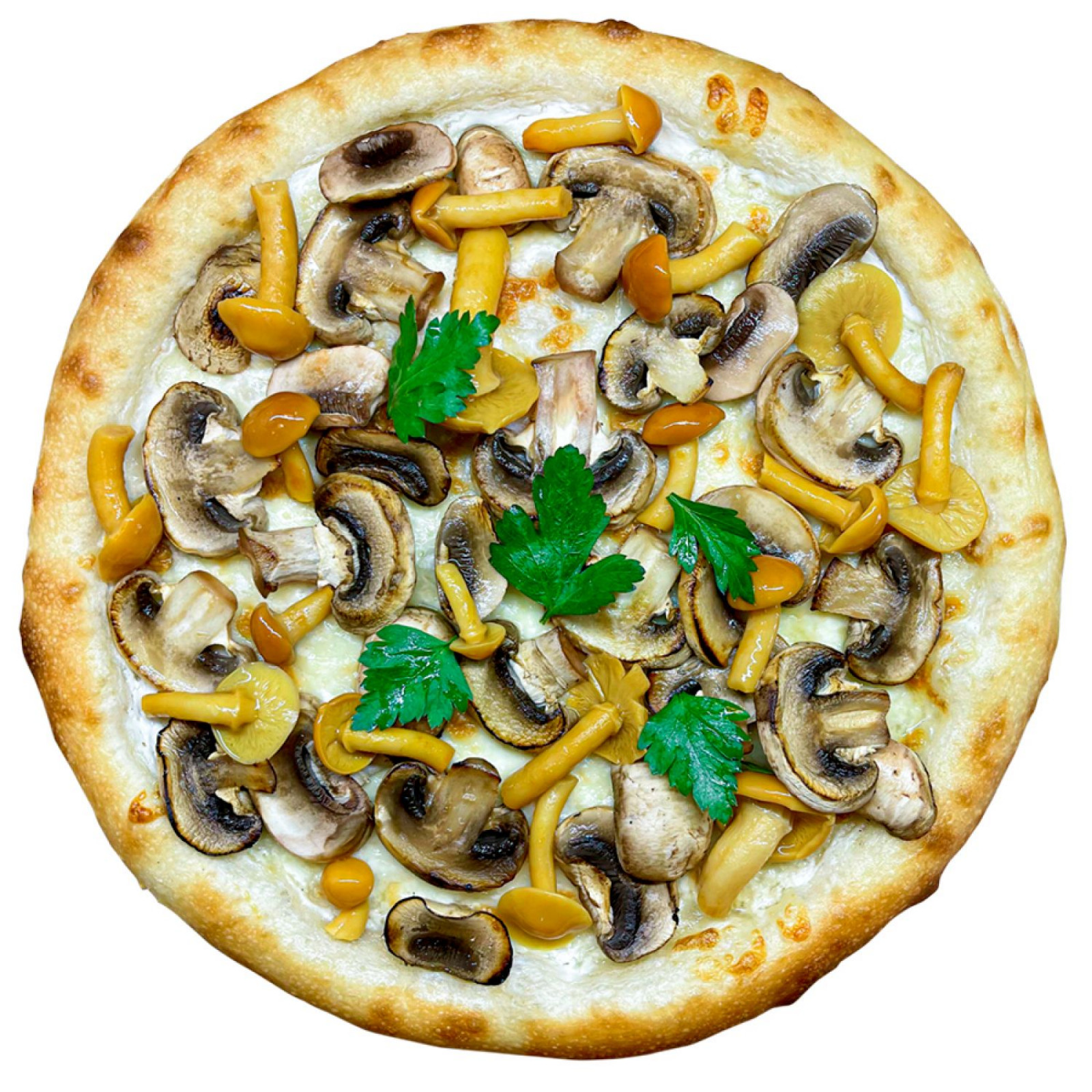 грибная пицца из шампиньонов фото 54